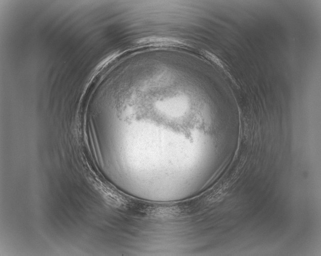 X0000052641074200507081959