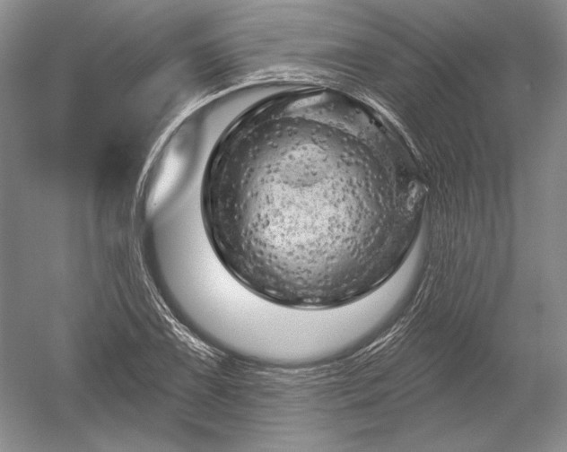 X0000052641075200507081959