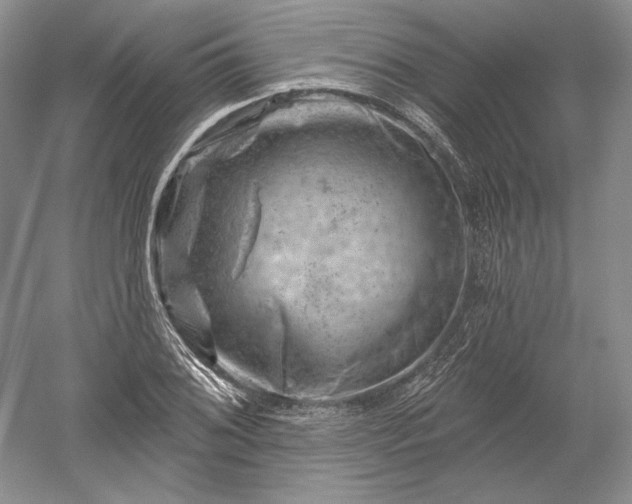 X0000052641076200507081959