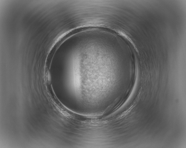 X0000052641077200507081959