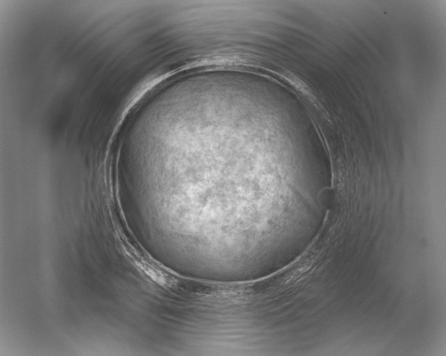 X0000052641078200507081959