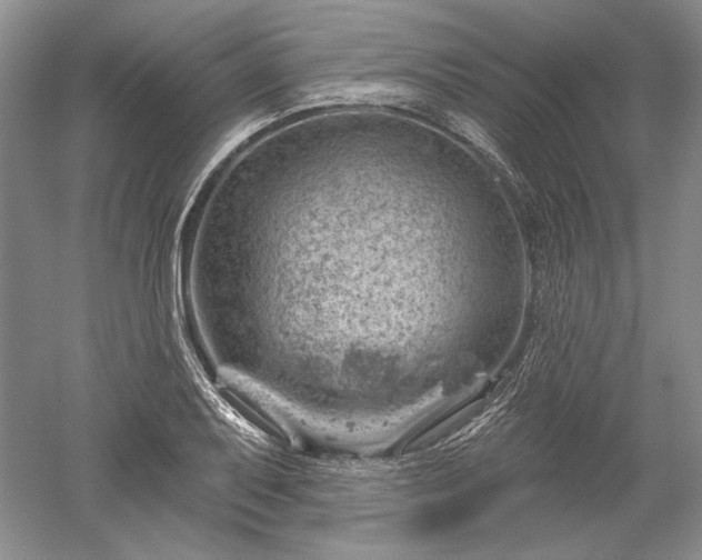 X0000052641079200507081959