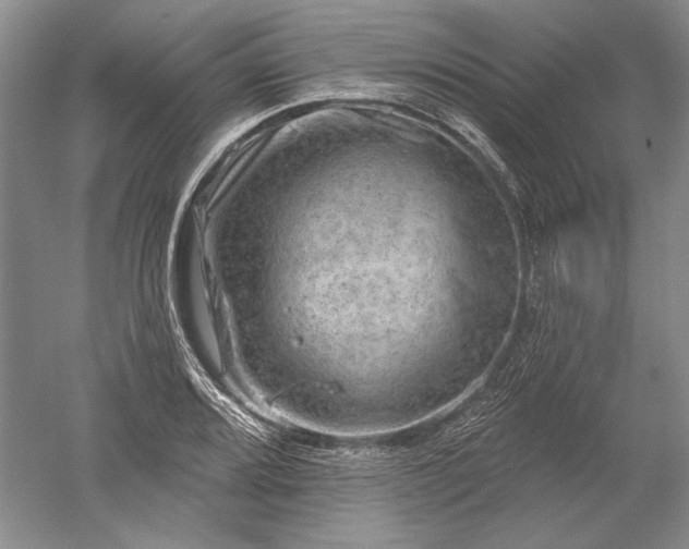 X0000052641080200507081959