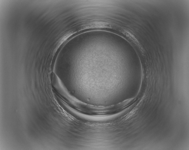 X0000052641081200507081959