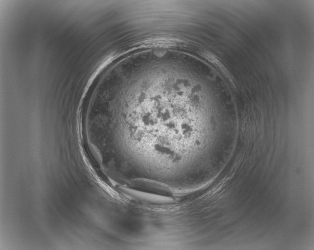 X0000052641083200507081959