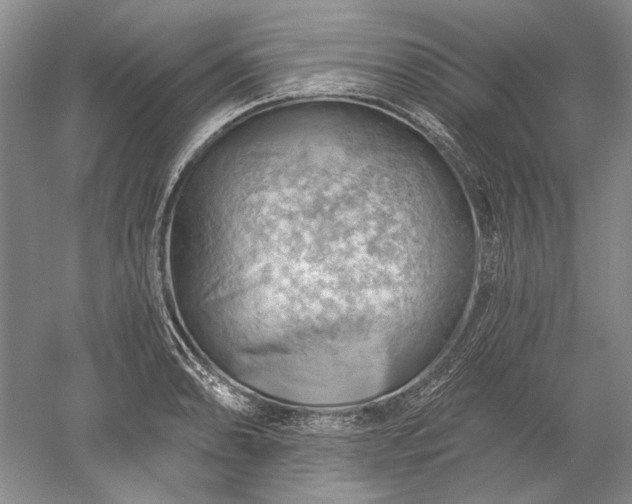 X0000052641086200507081959