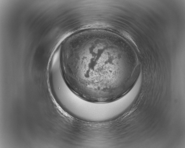 X0000052641087200507081959