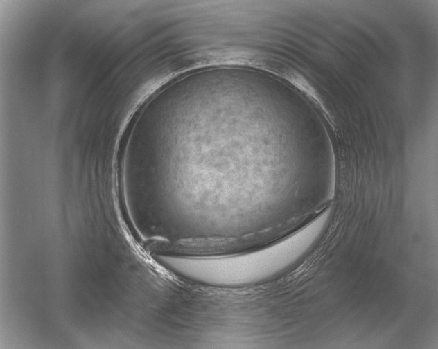 X0000052641088200507081959