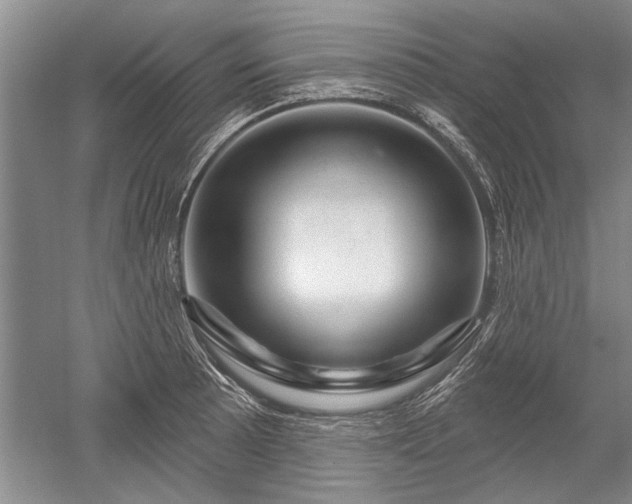 X0000052641089200507081959