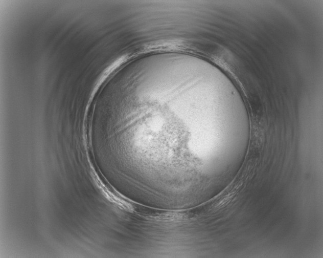 X0000052641090200507081959