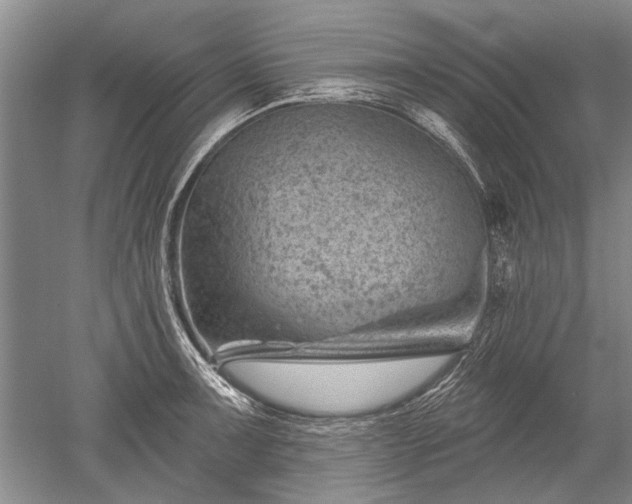 X0000052641091200507081959