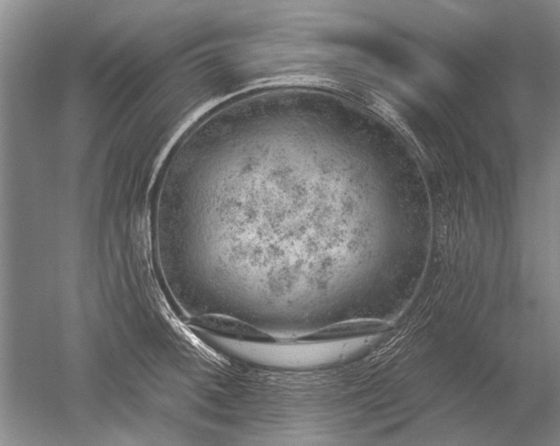 X0000052641092200507081959