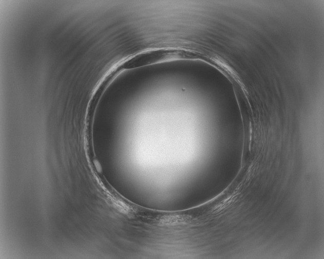 X0000052641093200507081959