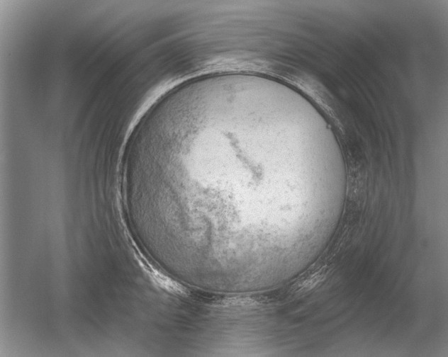 X0000052641094200507081959