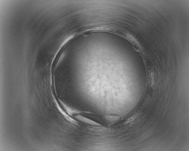 X0000052641095200507081959