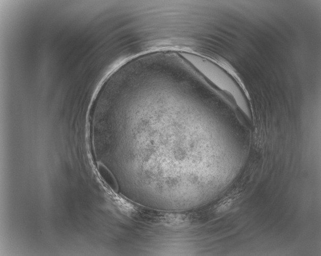 X0000052641096200507081959