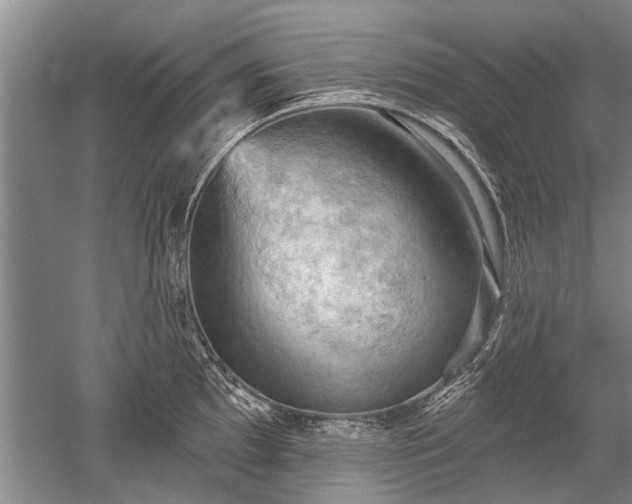 X0000052641097200507081959