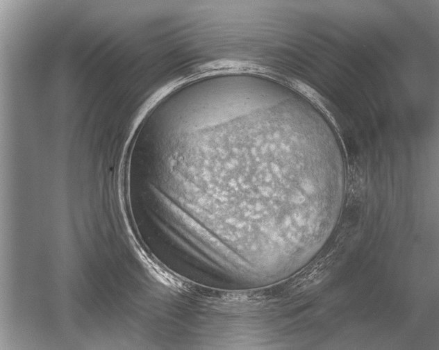 X0000052641098200507081959