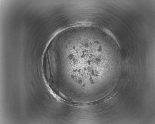 X0000052641099200507081959