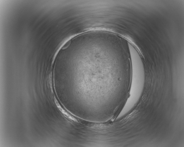 X0000052641100200507081959