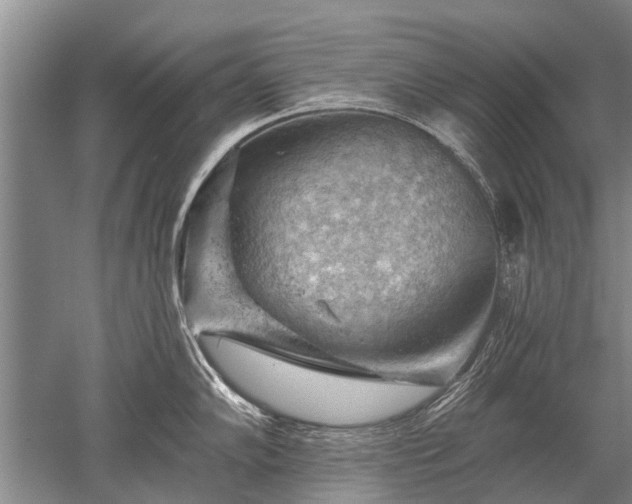 X0000052641102200507081959