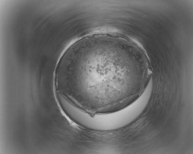 X0000052641103200507081959