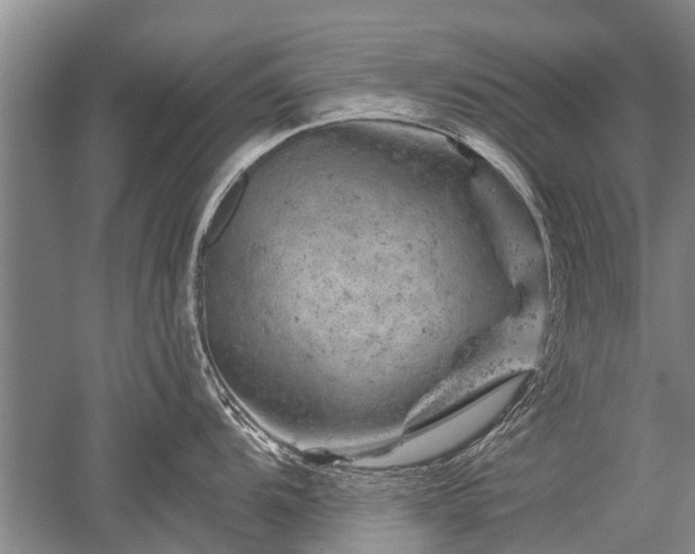 X0000052641104200507081959