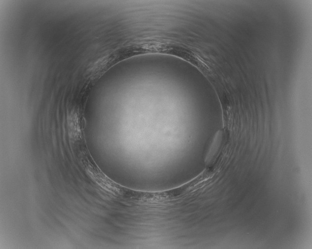 X0000052641106200507081958