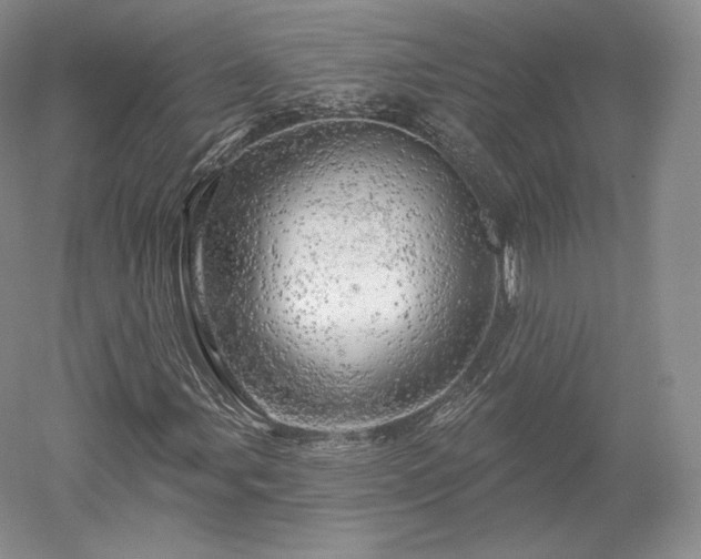 X0000052641107200507081958