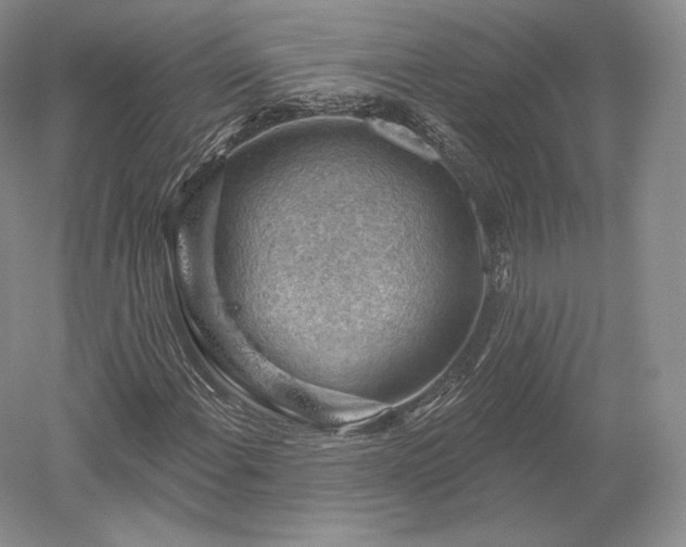 X0000052641108200507081958