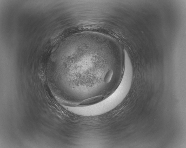 X0000052641109200507081958