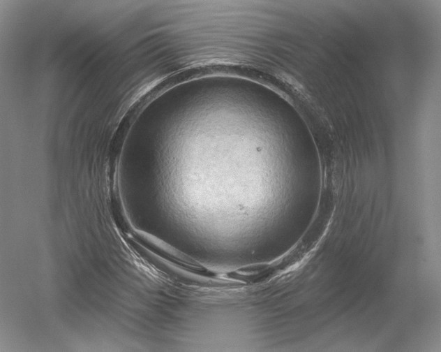 X0000052641113200507081958