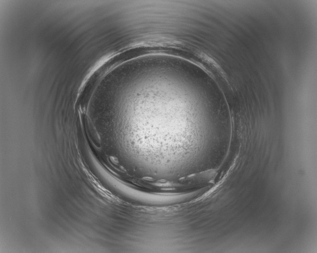 X0000052641114200507081958