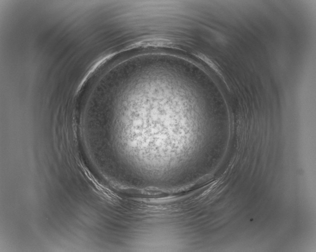 X0000052641115200507081958