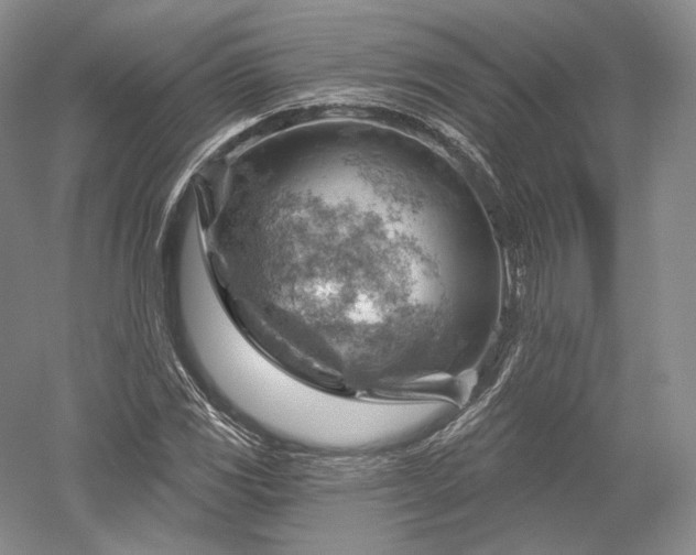 X0000052641117200507081958