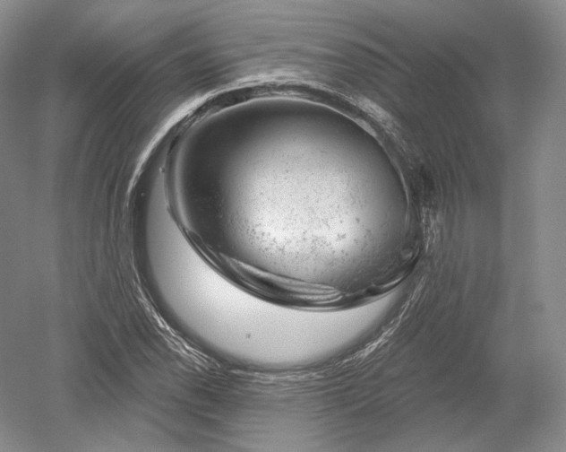 X0000052641118200507081958