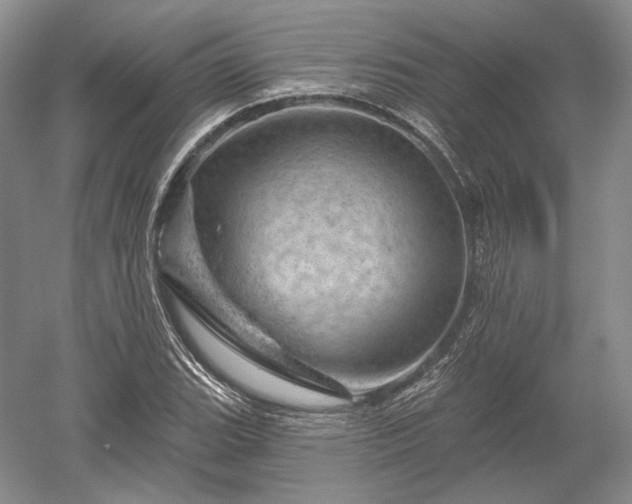 X0000052641119200507081958