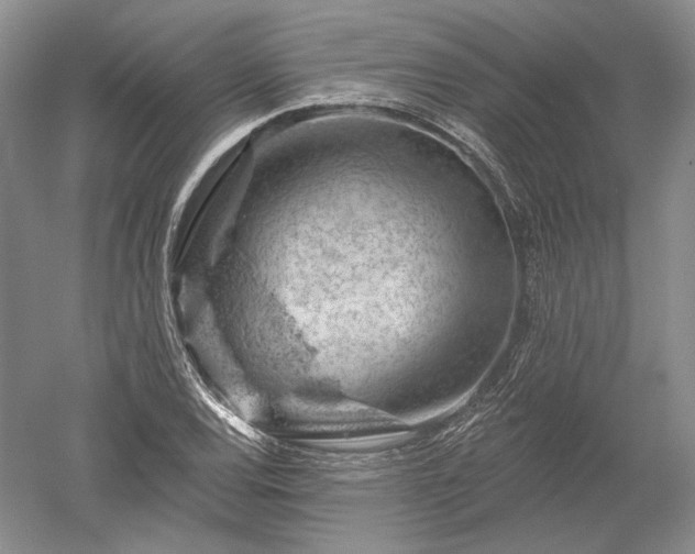 X0000052641120200507081958