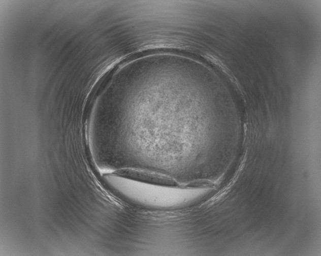 X0000052641121200507081958