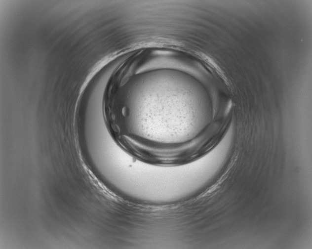 X0000052641122200507081958