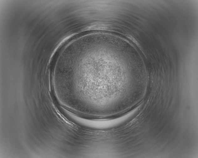 X0000052641123200507081958