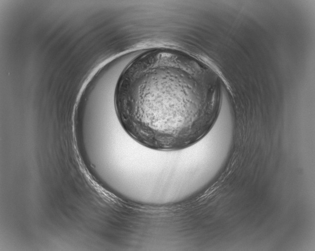 X0000052641124200507081958