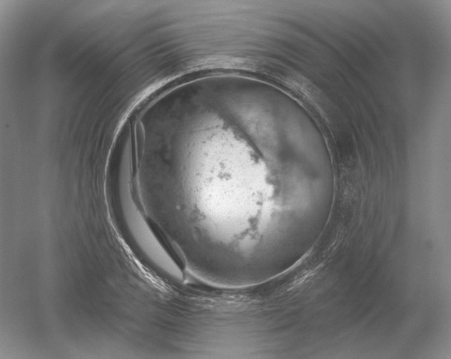 X0000052641125200507081958