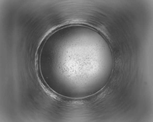 X0000052641126200507081958