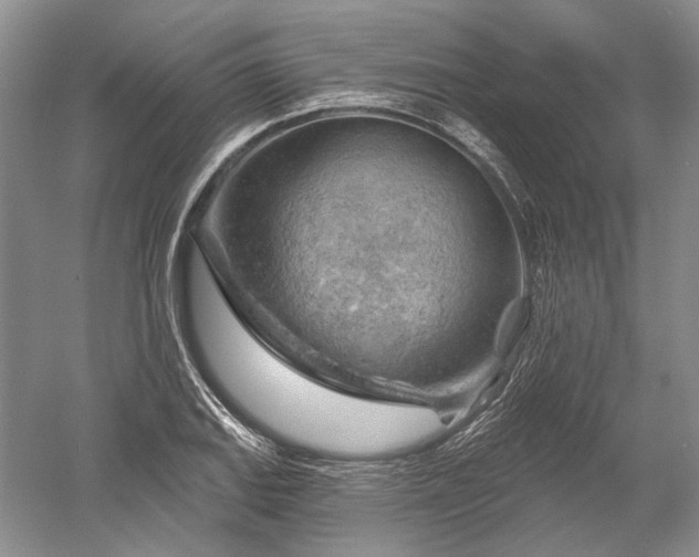 X0000052641127200507081958