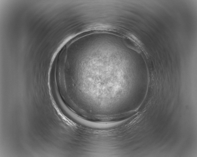 X0000052641128200507081958