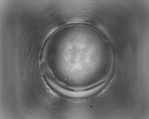 X0000052641129200507081958