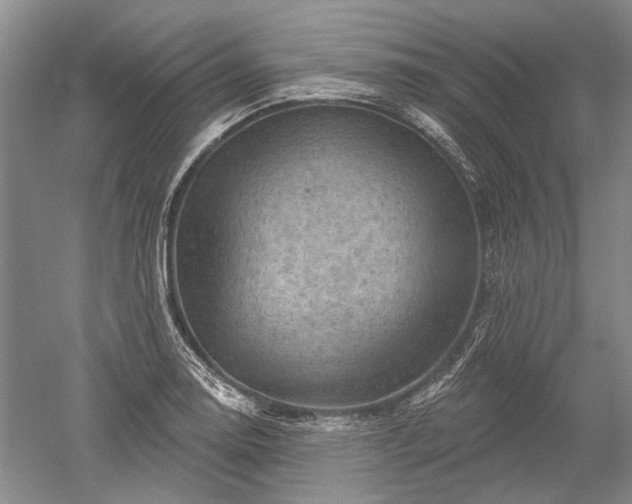 X0000052641130200507081958