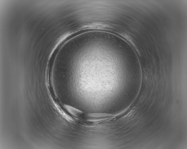 X0000052641131200507081958