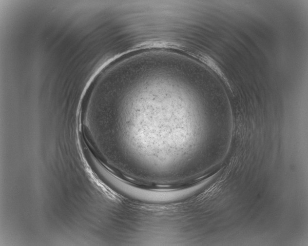 X0000052641132200507081958